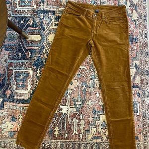 Patagonia Corduroy Pants
